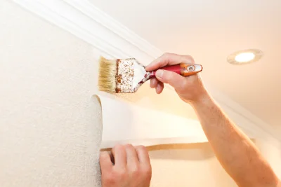 Pose de papier peint à Louvie-Soubiron — revêtements muraux et toiles de verre